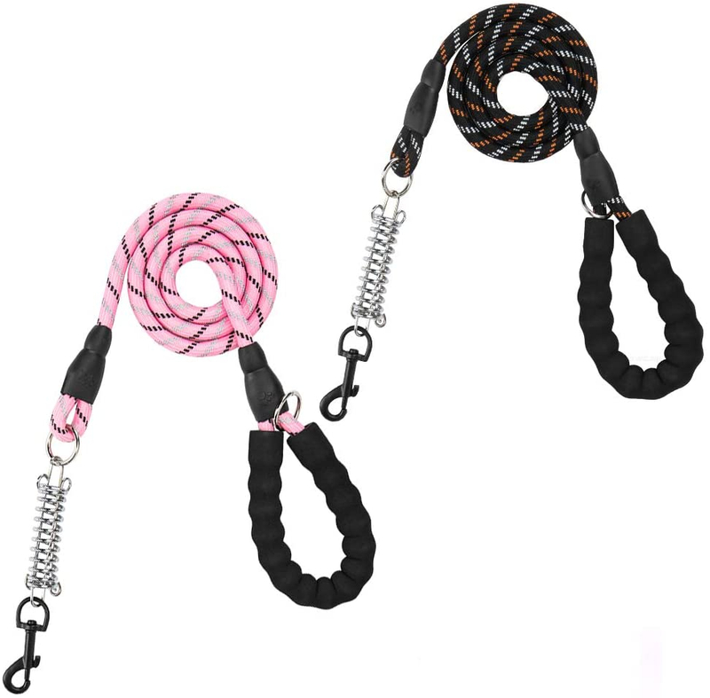 New Design Cute Nylon Web Dog Leash Carabiner Adjustable Rope Dog Leash